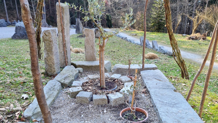 schwazer silberwald