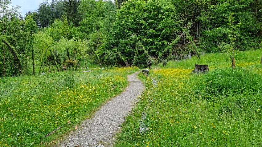 schwazer silberwald