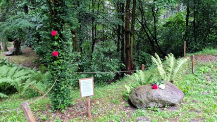 schwazer silberwald